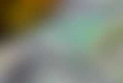 Фотография квеста Большой куш от компании выХод (Фото 1)