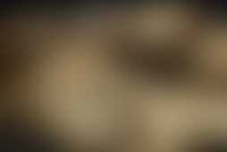 Фотография квеста Фотостудия призрака от компании выХод (Фото 1)