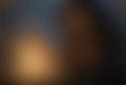 Фотография квеста Ведьма-гадалка от компании Игры разума (Фото 1)