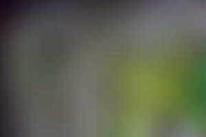 Фотография перформанса Зомбилэнд от компании Фрэнки-парк (Фото 1)