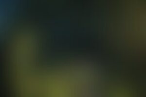 Фотография квеста Дети шпионов от компании Чеширский код (Фото 1)