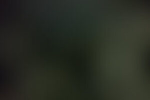 Фотография перформанса Душевнобольные от компании Паника (Фото 4)