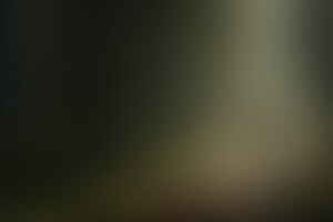 Фотография квеста-анимации Выживальщики от компании По сути (Фото 1)
