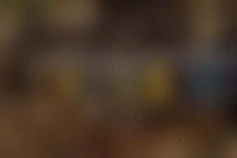 Квиз «Imix» от Imix