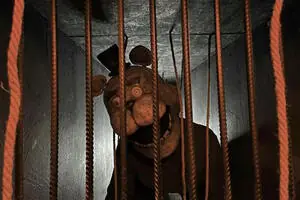 FNAF: Five Nights at Freddy's