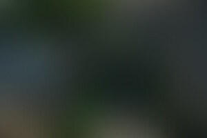 Фотография VR-квеста Пираты (delete) от компании Delete (Фото 1)