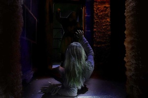 Фотография перформанса Коллекционер от компании Паника (Фото 1)