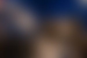 Фотография перформанса Изолярий от компании ВНУТРИ (Фото 3)