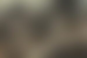 Фотография экшн-игры Ночь живых мертвецов от компании Ночь мертвецов (Фото 1)