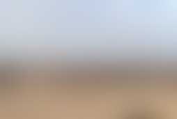 Фотография ролевого квеста Марсианин от компании Место без адреса (Фото 1)