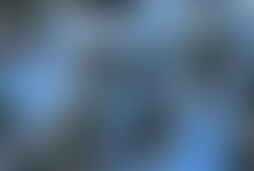 Фотография ролевого квеста Простоквашино от компании Квест-Хаус Лайв (Фото 1)